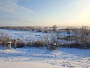 Прогноз погоды на 1 марта: В Якутске без осадков, ветер переменный