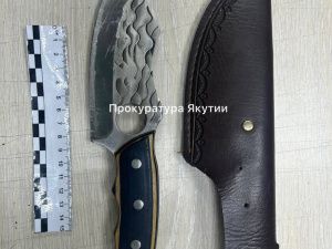 Пьяная якутянка ударила ножом гражданского супруга, причинив тяжкий вред здоровью