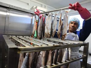 В арктическом посёлке Чокурдах открыли модульный цех по переработке рыбы