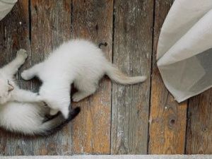 Известный дизайнер Петр Яковлев стал отцом двоих счастливых мальчиков!