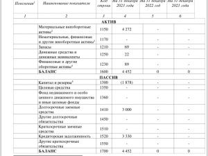 АЛЕКСАНДР ИВАНОВ: ДЕПУТАТ СТАЛ ПРЕДАТЕЛЕМ ИЗ-ЗА БАНКРОТСТВА?