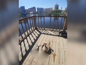 «Если так дальше пойдет, то придется закрыться». На озере Щорса убиты утки, директор экопарка задумался о приостановке проекта