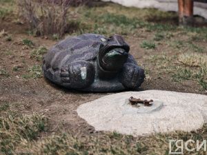 Астана в объективе ЯСИА