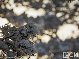 Жители Якутии ждут лето. Синоптики обещают потепление 1 февраля