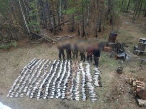 В Якутии добыли уток, занесенных в Красную книгу: Возбуждено два уголовных дела