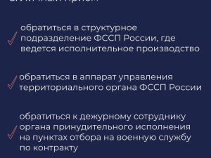 В УФССП объяснили, куда обращаться в связи с расширением гарантий лиц, участвующих в СВО