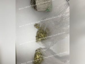 В Якутии пресечен межрегиональный канал пересылки золота