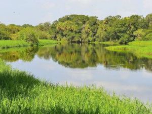 По традиции в Николин день принято готовить оладьи, саламат и суп из утки