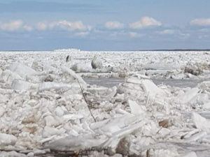 В районе села Табага идет густой ледоход
