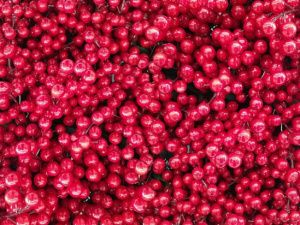 В Якутске установлена подозреваемая в мошенничестве при продаже брусники