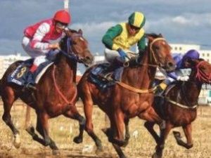 30 мая состоится прямая трансляция конных скачек в Якутии