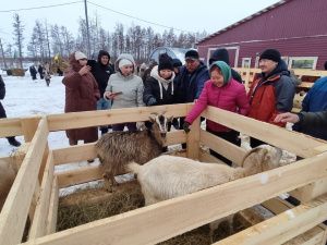 Иппотерапия и отдых в апидомиках: семья из Вилюйского района открыла уникальную экоферму