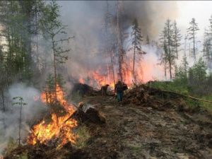 Нарушение правил пожарной безопасности в лесах влечет наложение административного штрафа