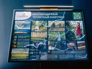 Как выглядит павильон Якутии на ВЭФ-2026