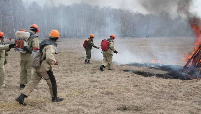 В Якутии на охрану лесов от пожаров после вмешательства прокуратуры выделили еще свыше 64 млн рублей