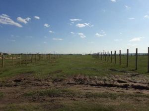 Как не попасть впросак, приобретая участок под ИЖС в Якутске