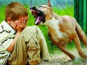 Суд взыскал с администрации поселка Сангар 50 тысяч рублей в пользу несовершеннолетнего