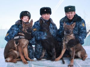 В УФСИН России по Республике Саха (Якутия) приступят к службе новые щенки 