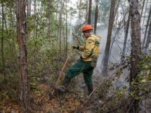 В Якутию переброшены еще 99 парашютистов-десантников авиалесоохраны