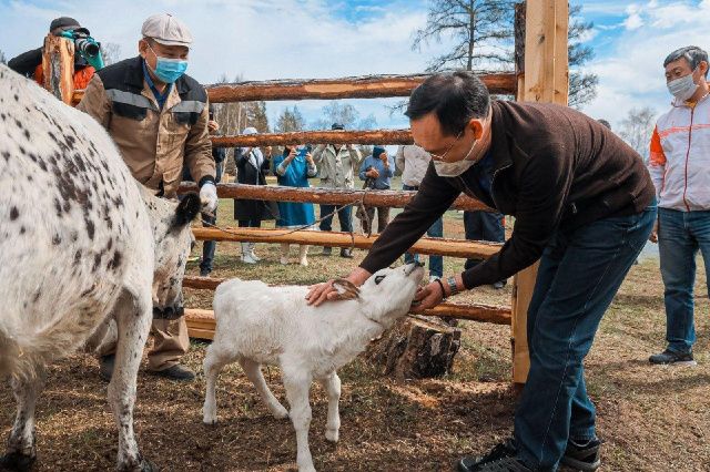 Айсена родила Дархана