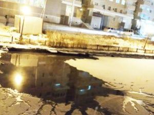 Кто загрязняет Теплое озеро в Якутске? Ответ даст расследование