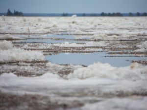 Вскрытие реки Лены ожидается на территории Ленского района на следующей неделе