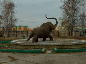 Бельгийский режиссер снимает фильм о Якутии и клонировании мамонтов