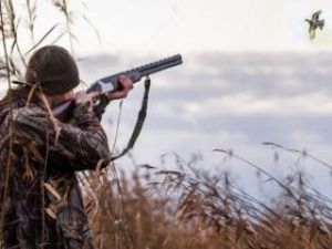 В Якутии начался прием заявлений на добычу диких животных