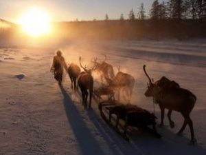 Якутия направит около 350 миллионов рублей на исследования жизни в условиях Севера