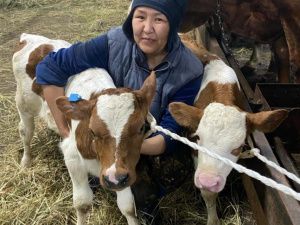 Телят-двойняшек из фермы в Кобяйском районе назвали Арктик и Телеком