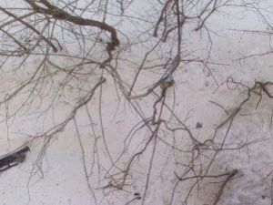 В Мирном 9-летний мальчик столкнул ровесника с высоты