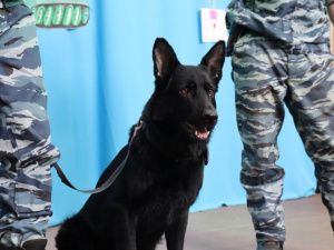 Сотрудники МВД Якутии провели социально-патриотическую акцию для детей, находящихся на длительном лечении в Национальном центре медицины