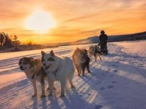 В ночь на субботу в Якутске температура воздуха понизится до минус 32 градусов