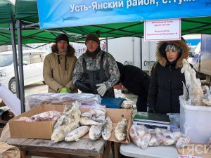 Море рыбы: Традиционная ярмарка развернулась на Комсомольской площади