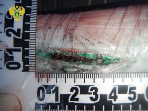 В Якутии приезжие вахтовики обвинены в краже 1,5 кг золота стоимостью около 10 млн рублей