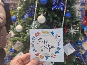 Команды инновационной экосистемы Якутии сделали новогоднее чудо