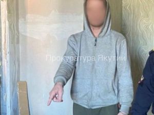 В Якутии мужчина застрелил свою сожительницу из ружья соседа: На владельца оружия завели уголовное дело