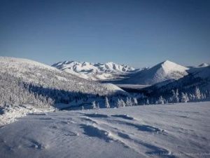 В оленеводческом стойбище женщина во время запоя потеряла шестилетнего сына