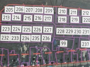 Сардана Авксентьева выяснила правду об участках в Табаге