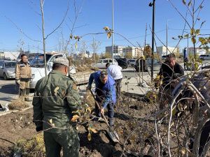 Итоги экологической акции «Пригороды - городу»: 884 новых дерева за одну неделю
