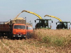 Снять запрет на работу мигрантов в некоторых отраслях предложили в Якутии