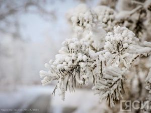 Что изменится в жизни россиян с 1 декабря 2024 года