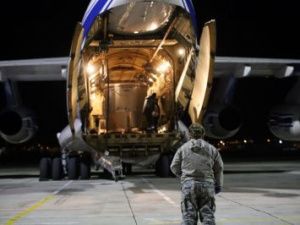 В Якутию прибыла четвёртая по счёту партия канадских бизонов