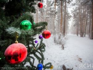 Что можно и что нельзя в Сочельник 6 января