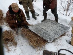 В резервате «Кэнкэмэ» установили искусственные гнезда для уток