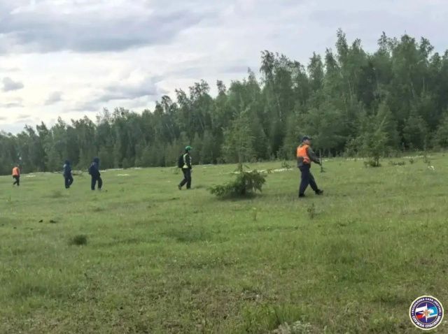 В Хангаласском улусе ищут 66-летнюю женщину, ушедшую в лес за ягодами