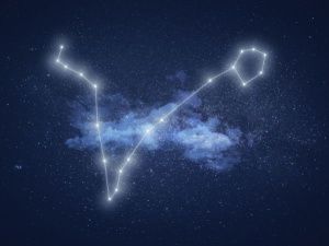 Гороскоп на 14 августа 2023 года для всех знаков зодиака