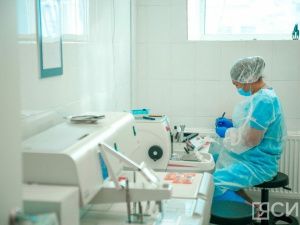 Управление ветеринарии проводит проверку после страшного видео с лошадью