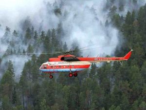 Еще 6 лесных пожаров ликвидировали в Якутии за сутки