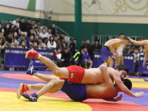 Борцы Тимур Николаев и Никита Софронов завоевали титулы абсолютных чемпионов турнира Ноговицыных